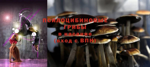 крисы Арсеньев