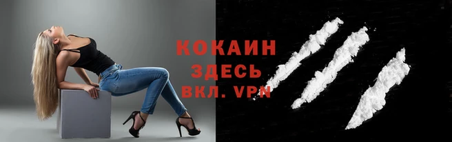 крисы Арсеньев