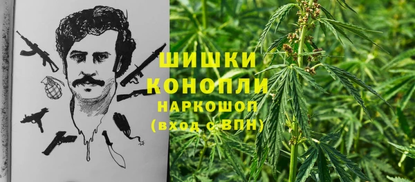 крисы Арсеньев