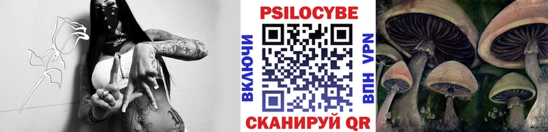 Галлюциногенные грибы Psilocybine cubensis  Ухта 